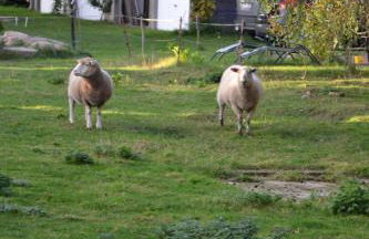 Landhaus Questin - Photo 34