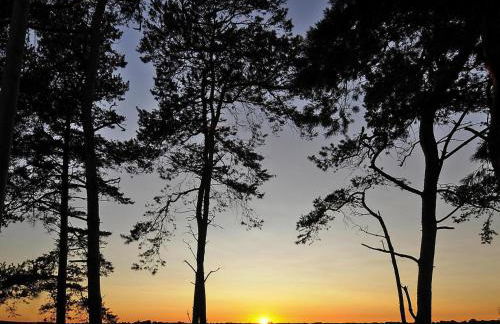 Gutshaus Zicker in Garz - Foto 17