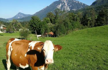 Almbauernhof - Foto 16