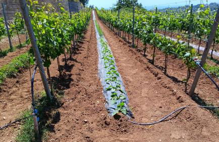 Casa vacanze San Gianni - Foto 2