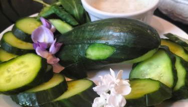 restyled bohemian mobil home la vie en rose - Foto 4