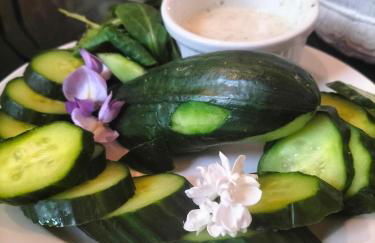 restyled bohemian mobil home la vie en rose - Foto 4