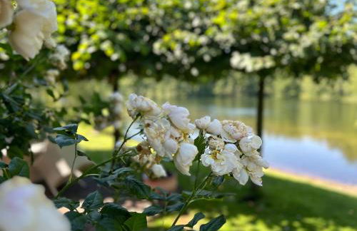 Haus am See Kamin privater Seezugang - Foto 26