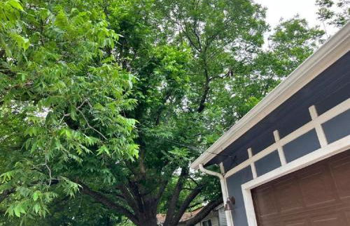 The Texas Bluebonnet Home in Historic McKinney - Foto 33