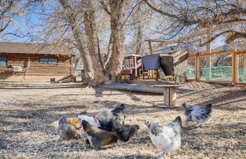 Cozy Parowan Studio 12 Mi to Brian Head Resort! - Foto 22