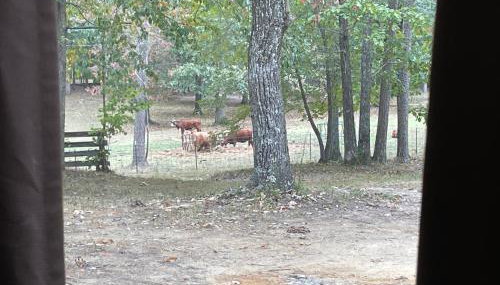 Rustic Mountaintop Cabin on small farm with WiFi - Foto 2
