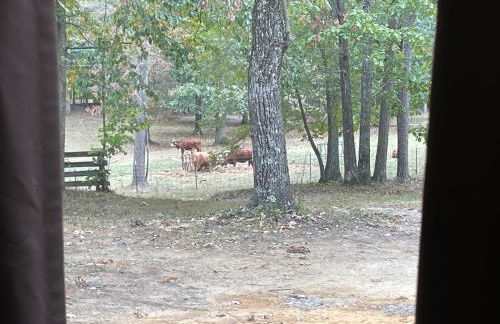 Rustic Mountaintop Cabin on small farm with WiFi - Foto 2
