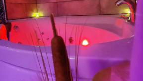 L'atelier des rêves, balnéo, lit rond, centre-ville - Foto 5