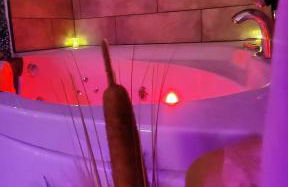 L'atelier des rêves, balnéo, lit rond, centre-ville - Foto 5