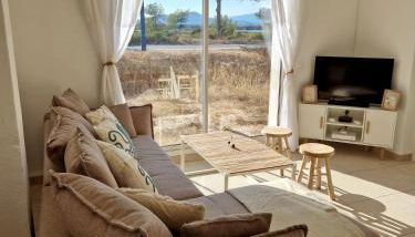 Les flamants roses de la Capte T3 - Foto 5