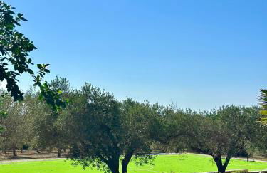 Villa Serenità - Foto 68