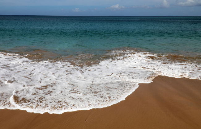 Gite Bois-Cannelle - Photo 29