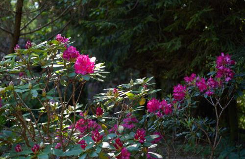 Dobra Chata Jaśkowo - Foto 75