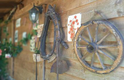 Agroturystyka POD KASZTANEM - Foto 29