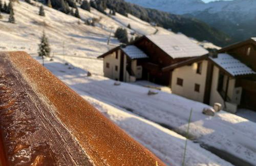 Appt T2 Les Saisies, 37m², Animaux admis, Parking - FR-1-293-382 - Foto 10