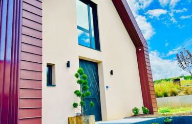 La Villa du Vignoble d Alsace - Photo 3