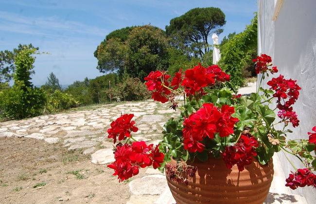 Family Villa With Pool and Barbecue - Foto 29