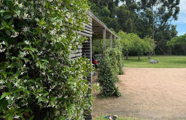 La Picarona - Foto 78