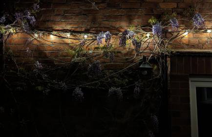 Rose Cottage - Foto 18