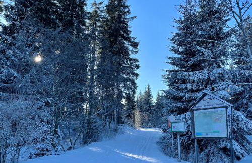 Ferienapartments Erzpanorama - Foto 47