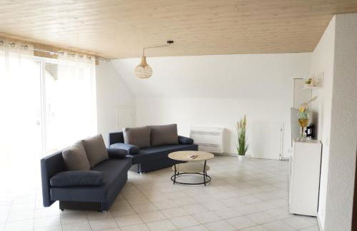 Ferienwohnungen zur Elz - Traumhafte 160 qm Wohnung mit Pool und Garten Nähe des Europaparks - Foto 5