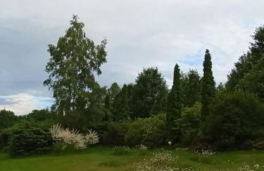 Przytulne Studio Borówkowy Zagajnik - Foto 40