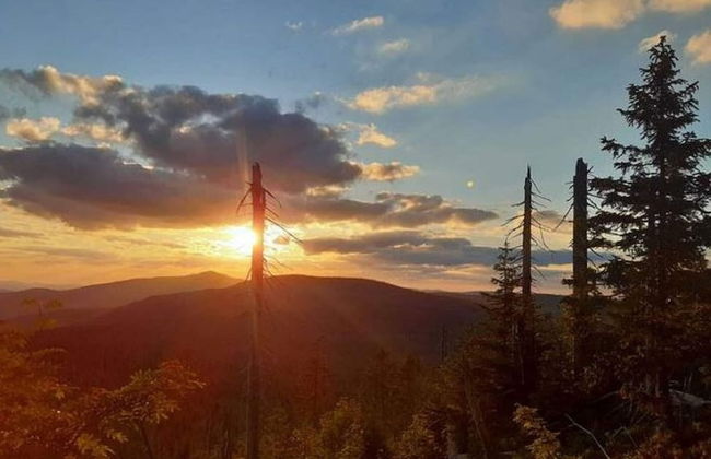 Welcoming Chalet Near Forest in Rohrnbach - Foto 43