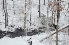 Cozy Creekside Log Cabin w Firepit, Hot Tub, WIFI - Foto 32