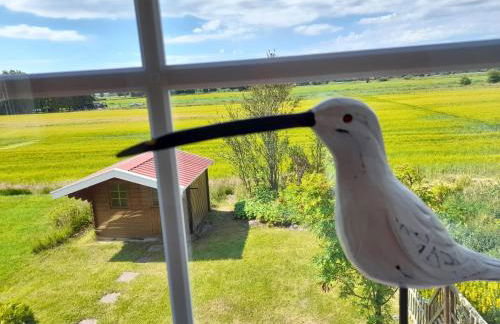 Ferienhaus Robby - Photo 31