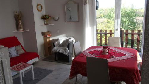 Gite "le vignoble " 2 pers coté vignes - Photo 3