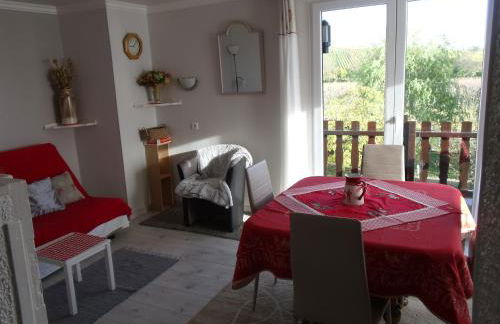 Gite "le vignoble " 2 pers coté vignes - Photo 3