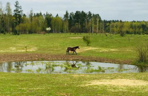 Sosnowy Zakatek - Foto 42