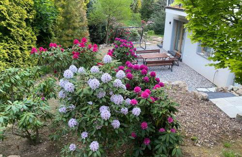 Domki PrzySowie - Góry Sowie - Foto 25