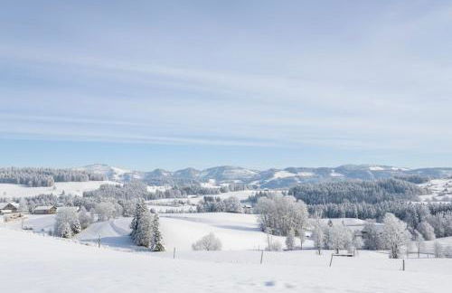 Lindners Hideaways - Bergnest Lodge - Bergblick Fewo 6 Pers Balkon Garten Hund Ski Unterkunft Luftkurort Oberreute nähe Buchenegger Wasserfälle Eistobel Bodensee - Foto 17