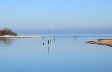 Fare Bambou - Foto 48