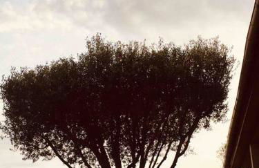 LE PALADIN Porto Pollo Villa privée avec piscine chauffée - Foto 24