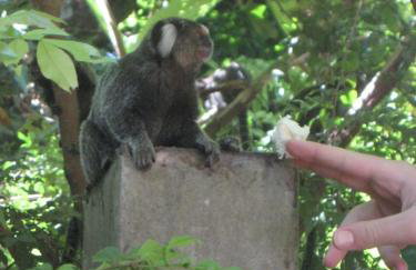 VILLA ON TAIRU BEACH, ITAPARICA Island, BRAZIL - Foto 8