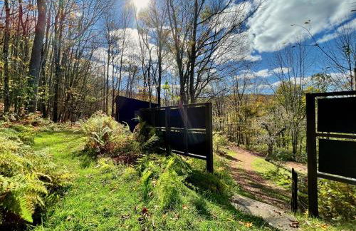 Fireplace Catskill Views Overlook Lake Cabin - Foto 63