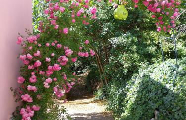 La Casetta Nel Bosco Delle Nereidi - Foto 17