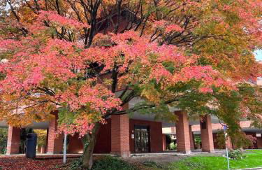 Spacious cozy apartment with easy and free parking - Foto 35