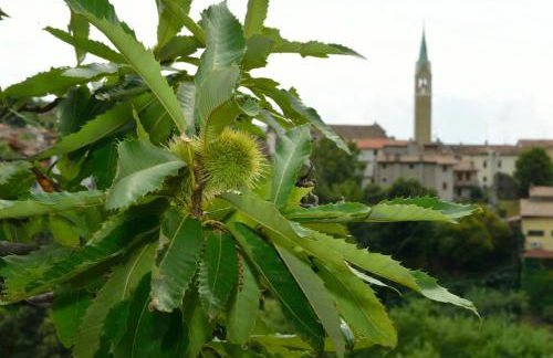 Agriturismo Crodi - Foto 115