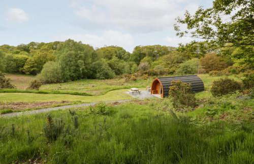 Llugwy Pod - Foto 24