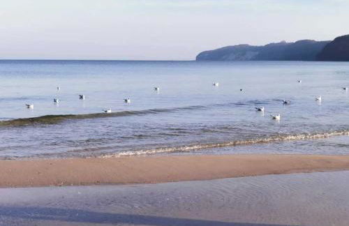 Ferienwohnung Kornblume - Foto 29