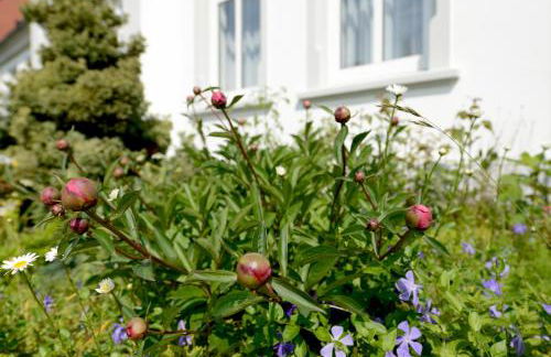 Ferienhaus für 8 Personen mit Kamin & Terrasse - Foto 22