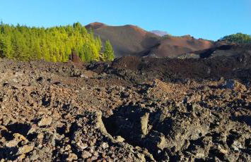 casa mo Tenerife - Foto 23