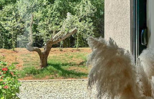 Lovely Home In Lovrin - Foto 11