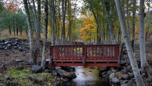 Cozy Cabin, near Mosier and Hood River - Foto 5