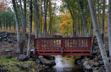 Cozy Cabin, near Mosier and Hood River - Foto 5