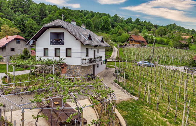Vineyard Homestead Vrtin - Foto 38