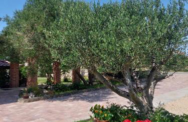 Moderni apartman Tina - Foto 34